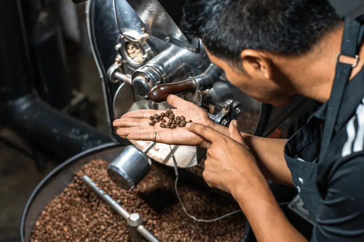 Barista Observing the Roasting of the Coffee